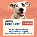 Purina Dog Chow Adult Sensitive Łosoś 16,5kg - obrazek 5
