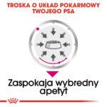 ROYAL CANIN Exigent Pasztet 12x85g - obrazek 9