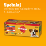 Pedigree Mokra Karma dla Psów Mix Smaków 40x100g - obrazek 11
