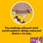 Pedigree DentaStix Przysmaki Dentystyczne 5-10kg - obrazek 4