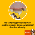 Pedigree DentaStix Średnie Psy 180g - obrazek 3