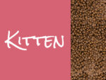 Josera JosiCat Kitten Karma Sucha 10kg - obrazek 6