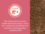 Josera JosiCat Kitten Karma Sucha 10kg - obrazek 8