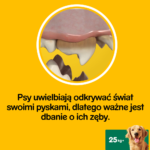 Pedigree DentaStix Przysmaki Dentystyczne Duże Psy - obrazek 3