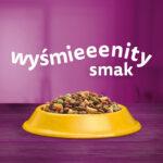 Whiskas Karma Sucha Kurczak dla Kotów 1,4kg - obrazek 4