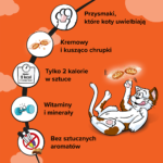 Dreamies Chrupiący Przysmak dla Kotów Kurczak 350g - obrazek 2