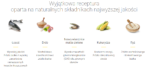 Josera Festival Karma dla Dorosłych Psów 12,5kg - obrazek 3