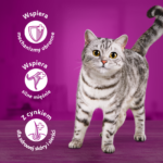 Whiskas Klasyczne Posiłki w Sosie 40x85g - obrazek 6