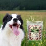 Wild Farm Kanapka z Kaczką dla Psa 500g - obrazek 4