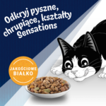 Felix Farmhouse Sensations Karma Sucha dla Kota - obrazek 3