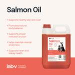 Lab-V Olej z Łososia 5000ml dla Psów i Kotów - obrazek 4