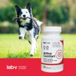 Lab-v Arthro Comfort: Kapsułki na Stawy - obrazek 4