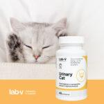 Lab-v Urinary Cat Wsparcie Układu Moczowego 45 Kapsułek - obrazek 2