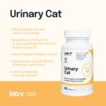 Lab-v Urinary Cat Wsparcie Układu Moczowego 45 Kapsułek - obrazek 3