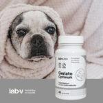 Lab-V Geriato Optimum Wsparcie Seniorów - obrazek 4