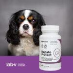 Lab-v Hepato Protect Wątroba Psy Koty - obrazek 3