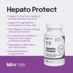 Lab-v Hepato Protect Wątroba Psy Koty - obrazek 4
