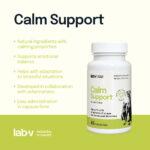 Lab-v Calm Support dla Psa i Kota - obrazek 4