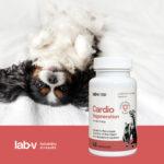 Lab-v Cardio Regeneration Psy Koty 45 Kapsułek - obrazek 2