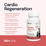 Lab-v Cardio Regeneration Psy Koty 45 Kapsułek - obrazek 4