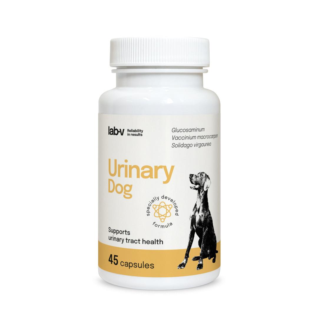 15643_1.jpg Lab-v Urinary Dog Wsparcie Dróg Moczowych 45 Kapsułek - obrazek 1