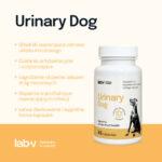 Lab-v Urinary Dog Wsparcie Dróg Moczowych 45 Kapsułek - obrazek 2