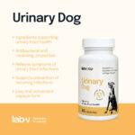 Lab-v Urinary Dog Wsparcie Dróg Moczowych 45 Kapsułek - obrazek 3