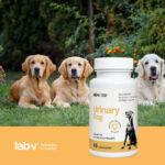 Lab-v Urinary Dog Wsparcie Dróg Moczowych 45 Kapsułek - obrazek 4