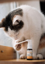 Lab-v ADE Complex Witaminy A, D, E Spray - obrazek 6