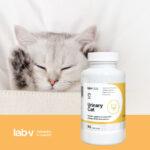 Lab-v Urinary Cat Wsparcie Moczowe Kotów - obrazek 2