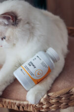 Lab-v Urinary Cat Wsparcie Moczowe Kotów - obrazek 5