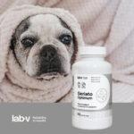 Lab-v Geriato Optimum Kapsułki dla Seniorów - obrazek 2
