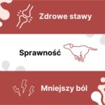 Arthrohard: Zdrowe Stawy Psów i Kotów - obrazek 8
