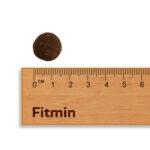 Fitmin For Life Karma Sucha Wołowina Ryż 12 kg - obrazek 2