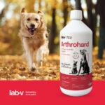 LAB-V Arthrohard Stawy Pies Kot 1000ml - obrazek 3
