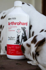 LAB-V Arthrohard Stawy Pies Kot 1000ml - obrazek 5