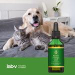 Lab-v Omega 3&6 Skóra Sierść Psy Koty 100ml - obrazek 5