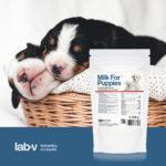 Lab-v Mleko Zastępcze dla Szczeniąt 200g - obrazek 5