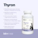 Lab-v Thyron: Wsparcie Tarczycy dla Psów i Kotów - obrazek 3