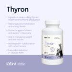 Lab-v Thyron: Wsparcie Tarczycy dla Psów i Kotów - obrazek 4