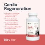 Lab-v Cardio Regeneration Wsparcie Serca Psów Kotów - obrazek 3