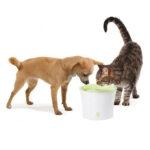 Catit Fresh Clear Fontanna 3L dla Kotów - obrazek 3