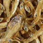 Tetra Anchois: Pokarm dla Żółwi Wodnych 1l - obrazek 4