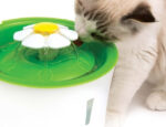 Fontanna Kwiatowa Catit 3L dla Kota - obrazek 3