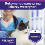 Feliway Classic Wkład Dyfuzora 48ml - obrazek 8