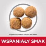 Hill's Science Plan Karma dla Dużych Psów Drób 18 kg - obrazek 5