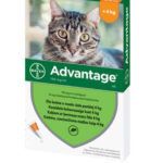 Bayer Advantage Krople Na Pchły Koty <4kg
