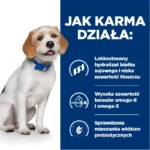 Hill's z/d Karma Hypoalergiczna Niskotłuszczowa 10kg - obrazek 3