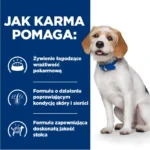Hill's z/d Hipoalergiczna Karma dla Psów 3kg - obrazek 2