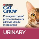 Purina Cat Chow Karma dla Kota UKM 1,5kg - obrazek 2